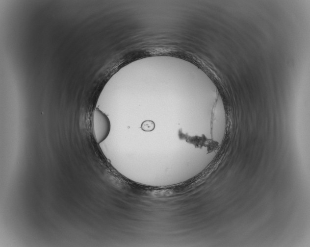 X0000116670426200912140949