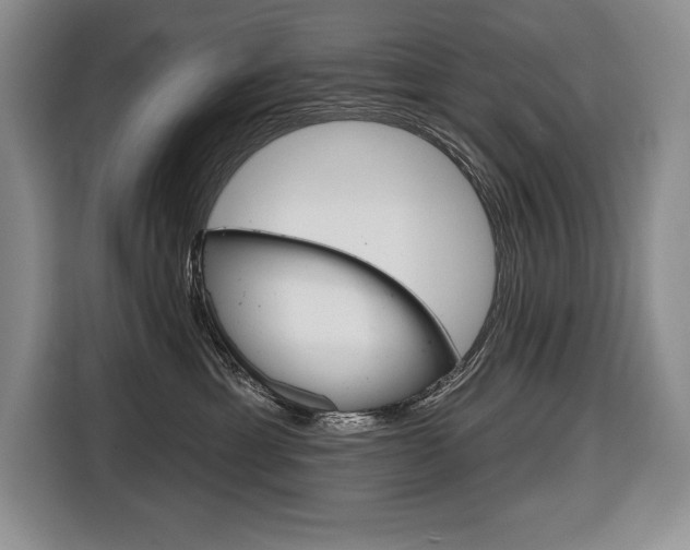 X0000116670429200912140949