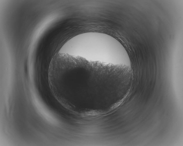 X0000116670430200912140949