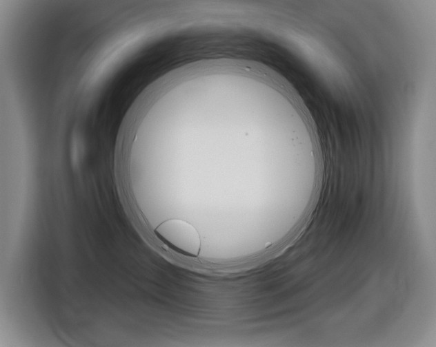 X0000116670431200912140949