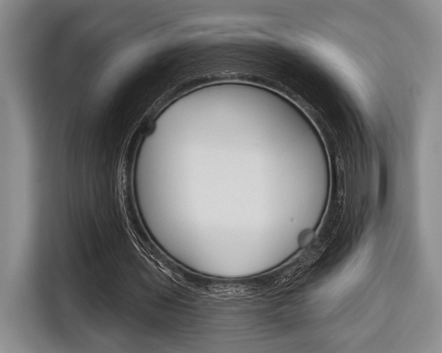 X0000116670435200912140948
