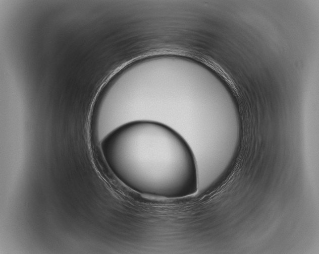 X0000116670436200912140948