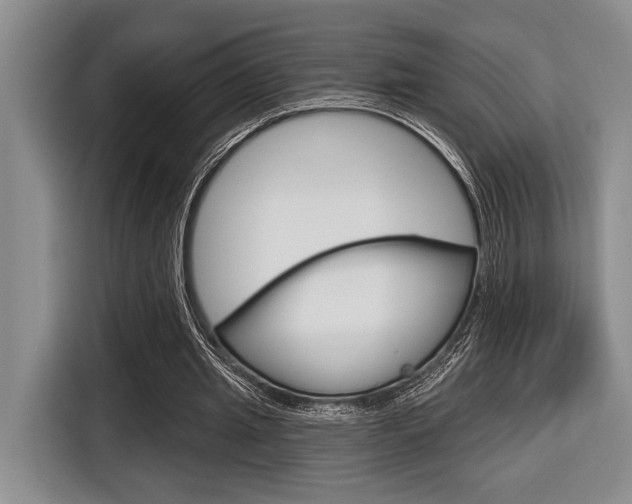X0000116670437200912140948