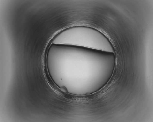 X0000116670438200912140948