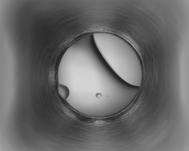 X0000116670441200912140948