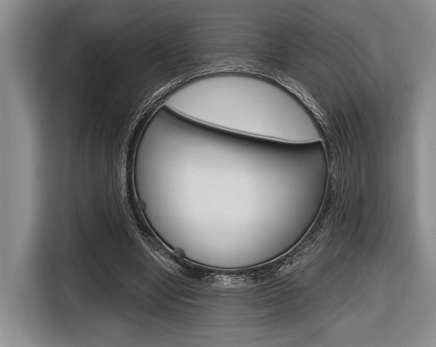 X0000116670442200912140948