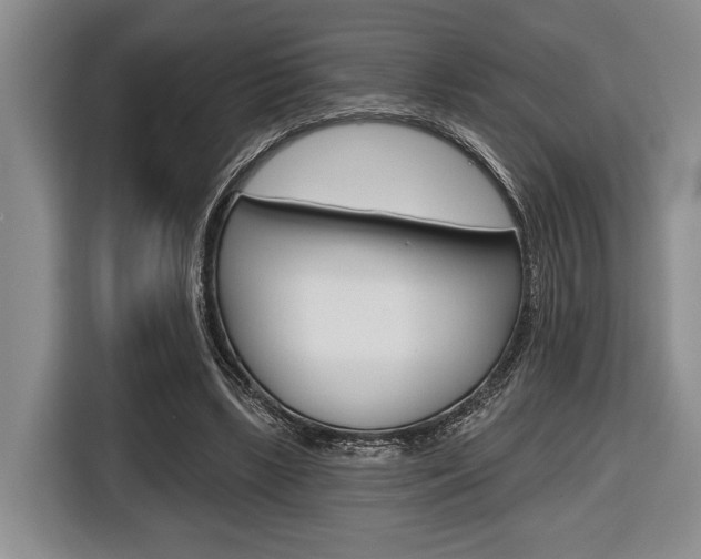 X0000116670443200912140948