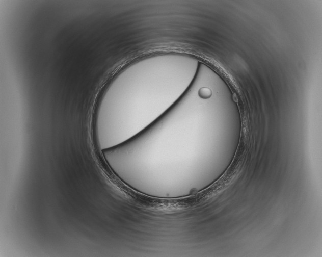X0000116670445200912140948