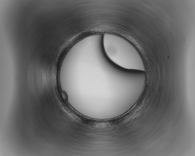 X0000116670446200912140948