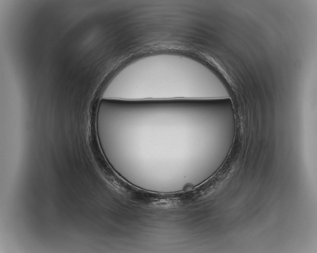 X0000116670447200912140948