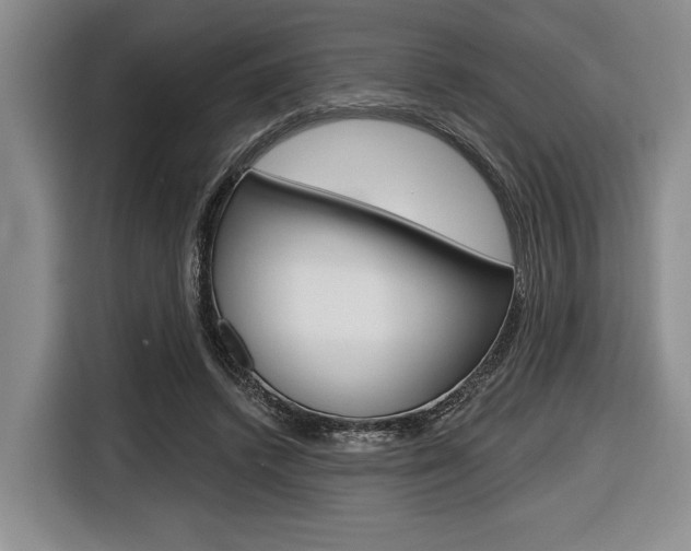 X0000116670448200912140948