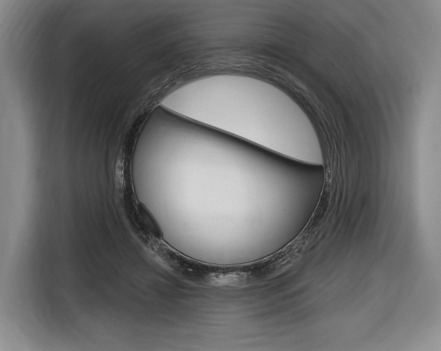 X0000116670452200912140948