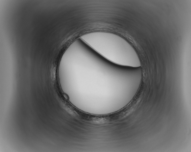 X0000116670454200912140948
