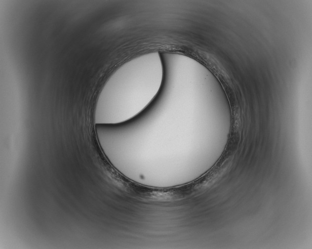 X0000116670457200912140949