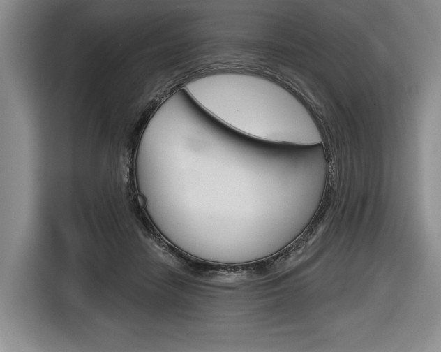 X0000116670458200912140949