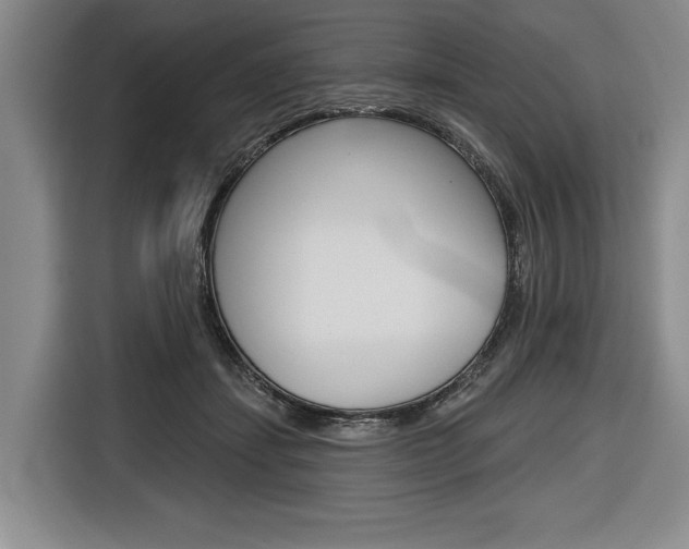 X0000116670459200912140949