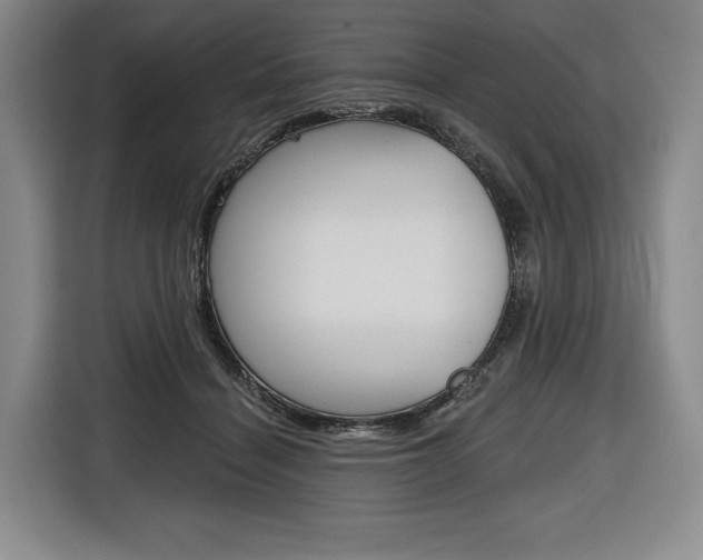 X0000116670460200912140949