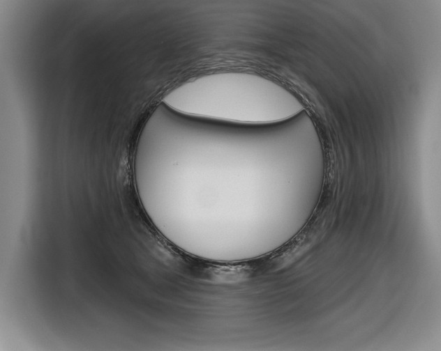 X0000116670465200912140949