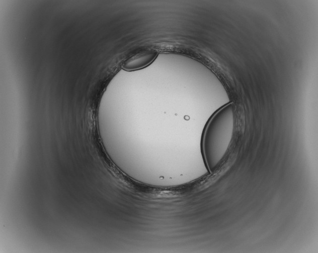 X0000116670467200912140949