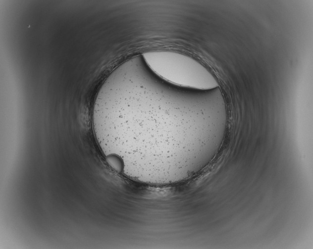 X0000116670469200912140949