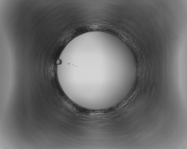 X0000116670470200912140949