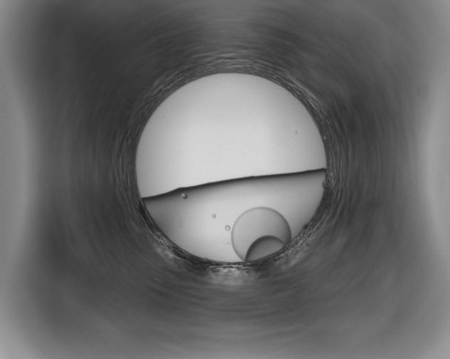 X0000116670475200912140949