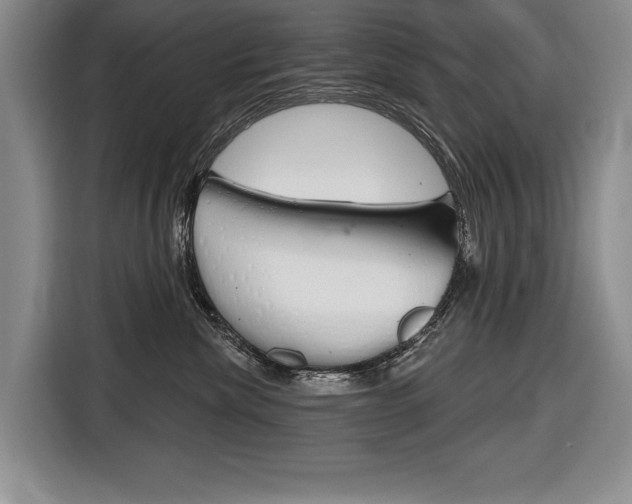 X0000116670476200912140949