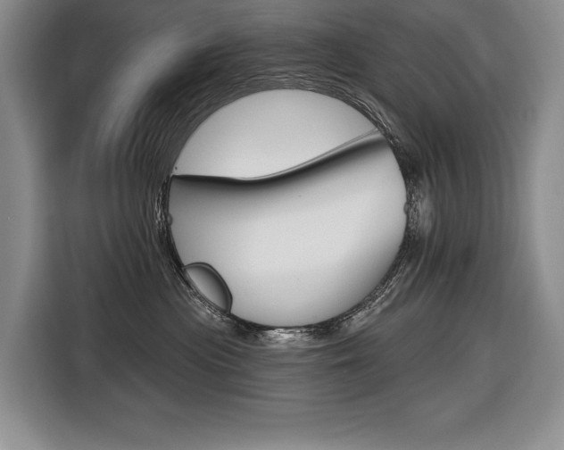 X0000116670477200912140949
