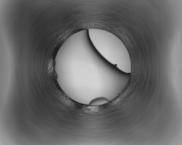 X0000116670478200912140949
