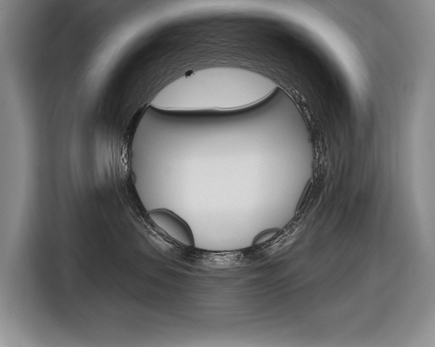 X0000116670479200912140949