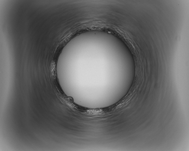 X0000116670480200912140949