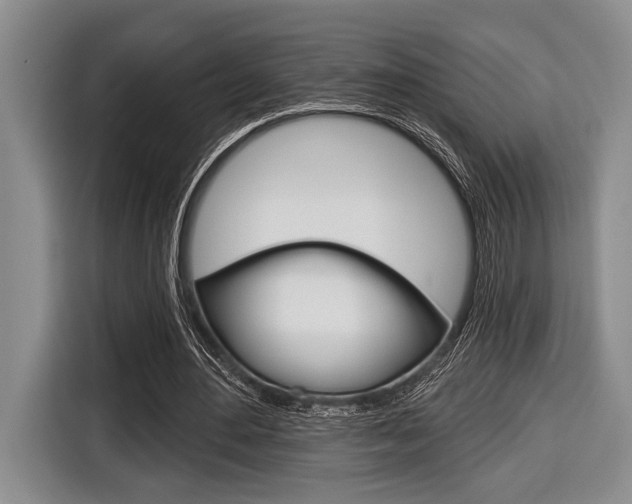 X0000116670484200912140948