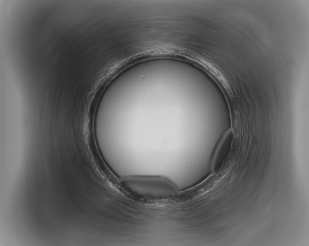 X0000116670485200912140948