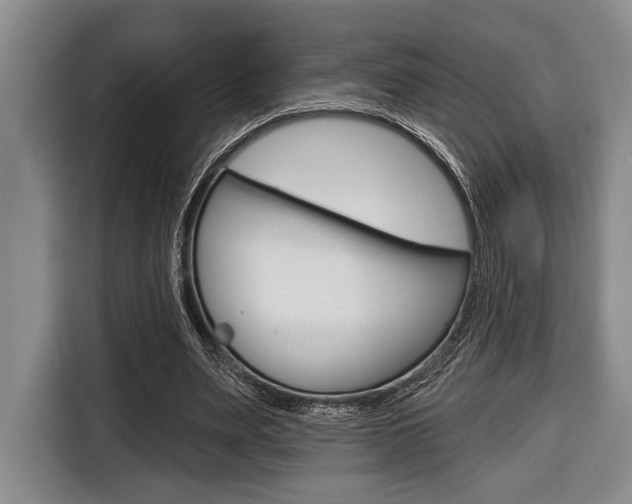 X0000116670487200912140948