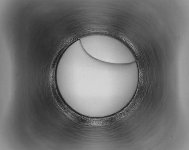 X0000116670490200912140948