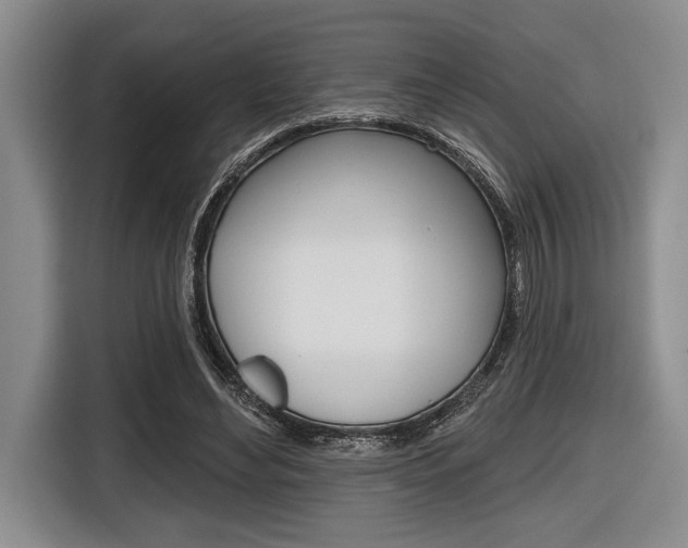 X0000116670492200912140948