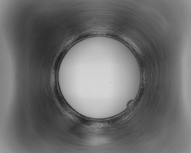 X0000116670494200912140948