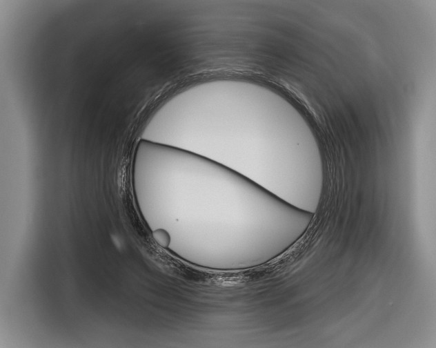 X0000116670495200912140948