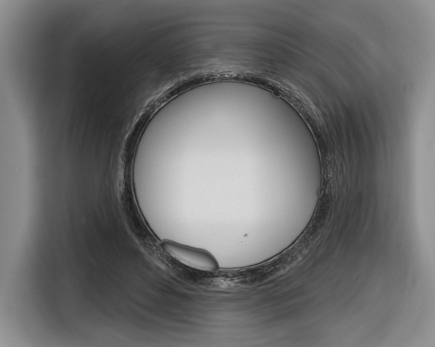 X0000116670496200912140948