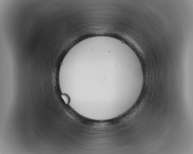 X0000116670497200912140948