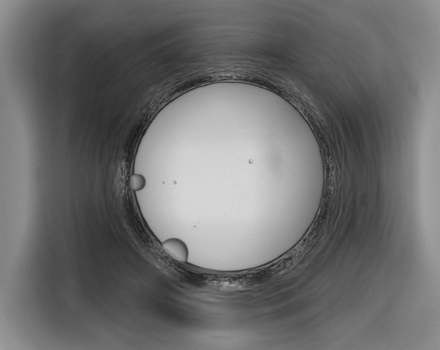 X0000116670498200912140948