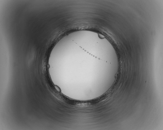X0000116670499200912140948