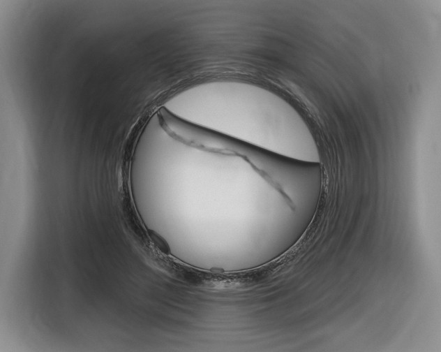 X0000116670500200912140948