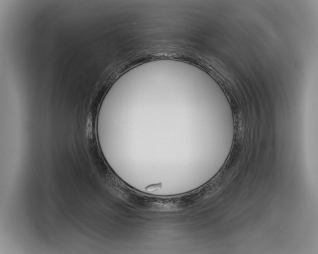X0000116670502200912140948