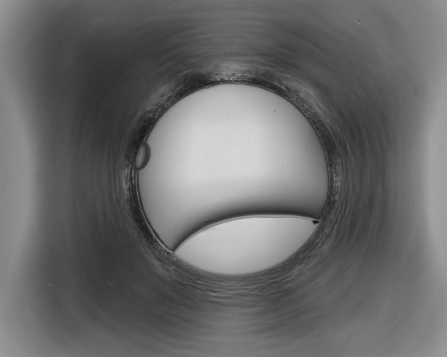 X0000116670503200912140948
