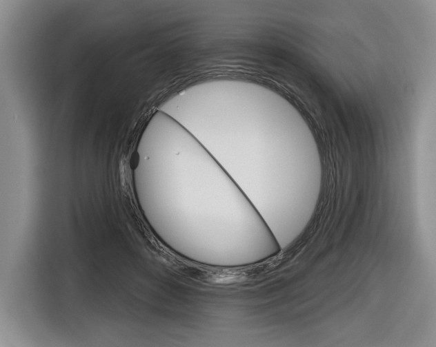 X0000116670504200912140948