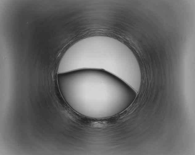 X0000116670508200912140948