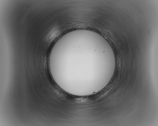 X0000116670511200912140948