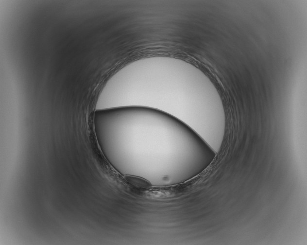 X0000116670512200912140948