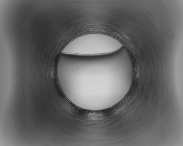 X0000116670515200912140948